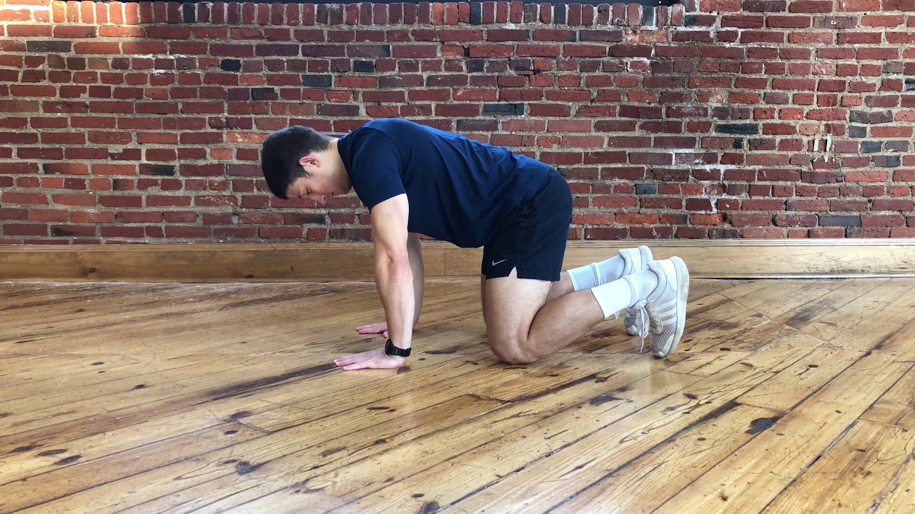 A person on a mat performing a beast hold with knees hovering just above the floor, back flat and eyes looking down